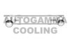 AUTOGAMMA 107405 Intercooler, charger